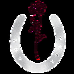 Meet your Posher, Charlotte